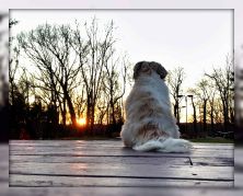 feliz quarta sunset.jpg